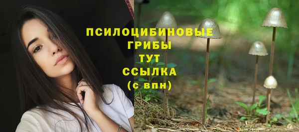 эйфоретик Абинск