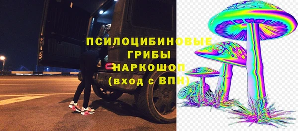 прущие грибы Абаза