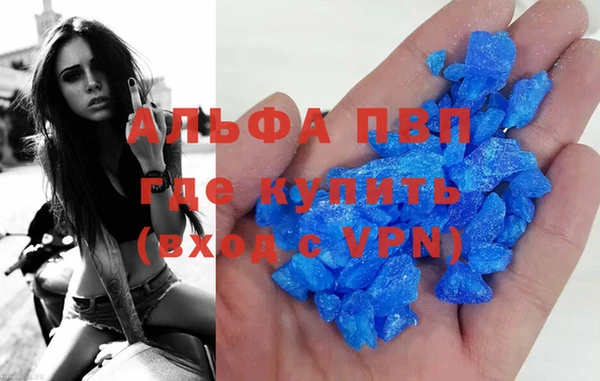 прущие грибы Абаза