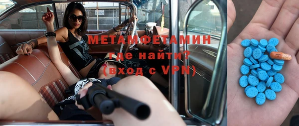 индика Краснослободск