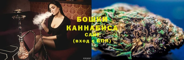 прущие грибы Абаза