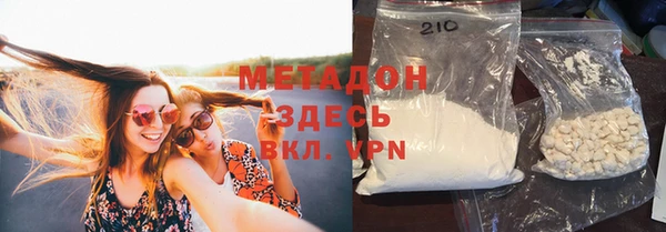 прущие грибы Абаза