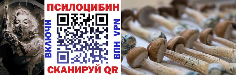 Псилоцибиновые грибы прущие грибы  где купить наркоту  Алагир 